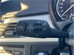 BMW 3 Series 320i 2010 full