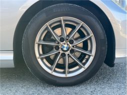 BMW 3 Series 320i 2010 full