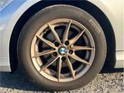 BMW 3 Series 320i 2010 full