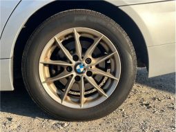 BMW 3 Series 320i 2010 full