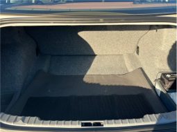 BMW 3 Series 320i 2010 full