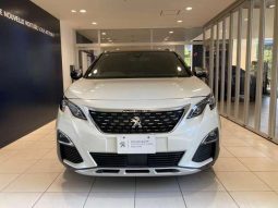 PEUGEOT 3008 GT BLUE HDI 2019 full