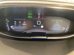 PEUGEOT 3008 GT BLUE HDI 2019 full