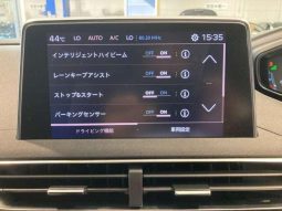 PEUGEOT 3008 GT BLUE HDI 2019 full