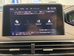 PEUGEOT 3008 GT BLUE HDI 2019 full