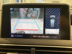 PEUGEOT 3008 GT BLUE HDI 2019 full