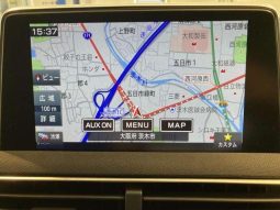 PEUGEOT 3008 GT BLUE HDI 2019 full