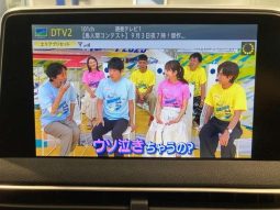 PEUGEOT 3008 GT BLUE HDI 2019 full