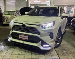 TOYOTA RAV4 G Z PACKAGE 2019 full