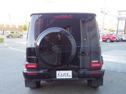 MERCEDES BENZ G-CLASS G350D AMG LINE 2019 full