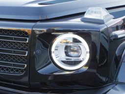 MERCEDES BENZ G-CLASS G350D AMG LINE 2019 full