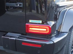 MERCEDES BENZ G-CLASS G350D AMG LINE 2019 full