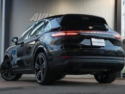 PORSCHE CAYENNE BASEGRADE 2019 full