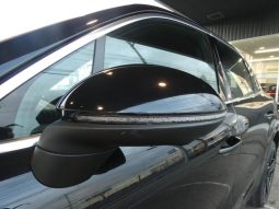 PORSCHE CAYENNE BASEGRADE 2019 full