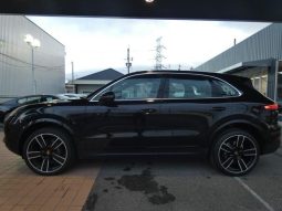 PORSCHE CAYENNE BASEGRADE 2019 full