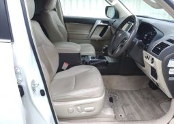 TOYOTA LAND CRUISER PRADO TX L 2019 full