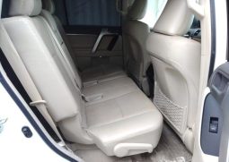 TOYOTA LAND CRUISER PRADO TX L 2019 full