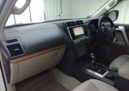 TOYOTA LAND CRUISER PRADO TX L 2019 full