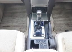 TOYOTA LAND CRUISER PRADO TX L 2019 full