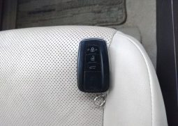 TOYOTA LAND CRUISER PRADO TX L 2019 full