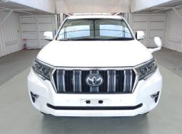 TOYOTA LAND CRUISER PRADO TX L 2019 full