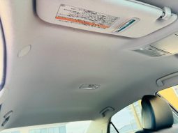 TOYOTA MARK X 250G S PACKAGE 2009 full