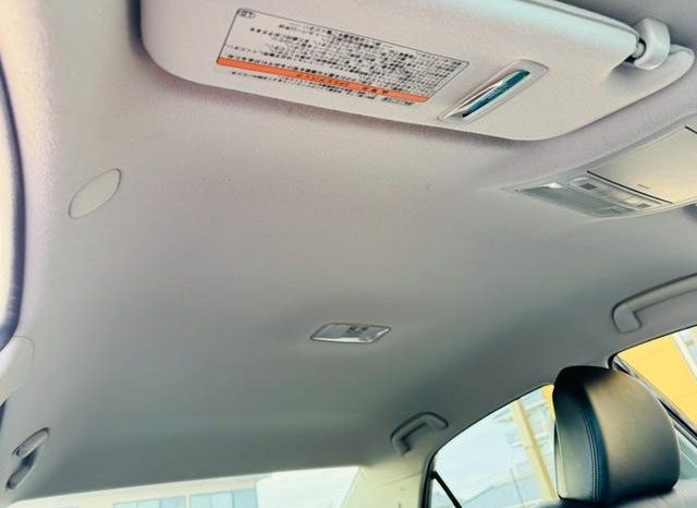 TOYOTA MARK X 250G S PACKAGE 2009 full