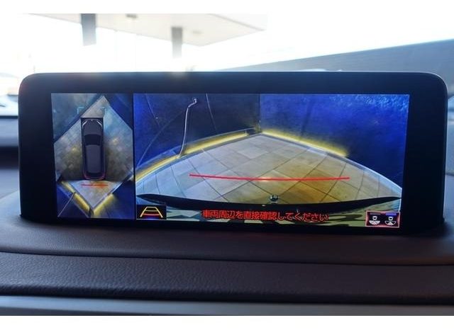 LEXUS RX RX300 VERSION L 2019 full