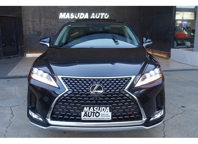LEXUS RX RX300 VERSION L 2019 full