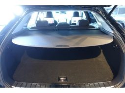 LEXUS RX RX300 VERSION L 2019 full