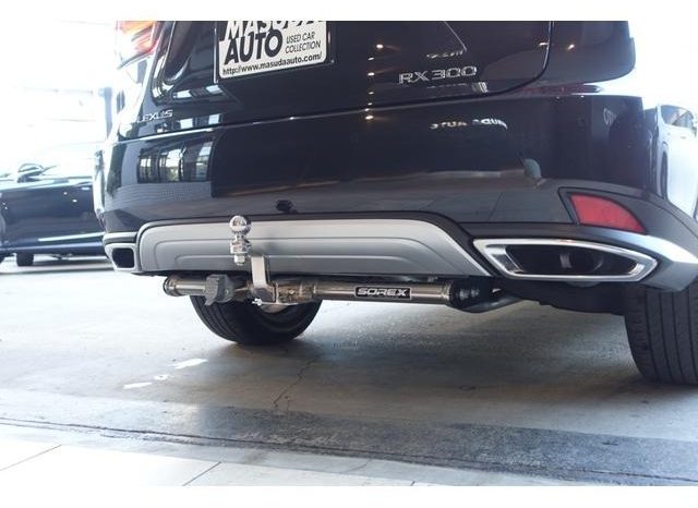 LEXUS RX RX300 VERSION L 2019 full