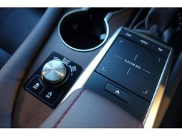 LEXUS RX RX300 VERSION L 2019 full