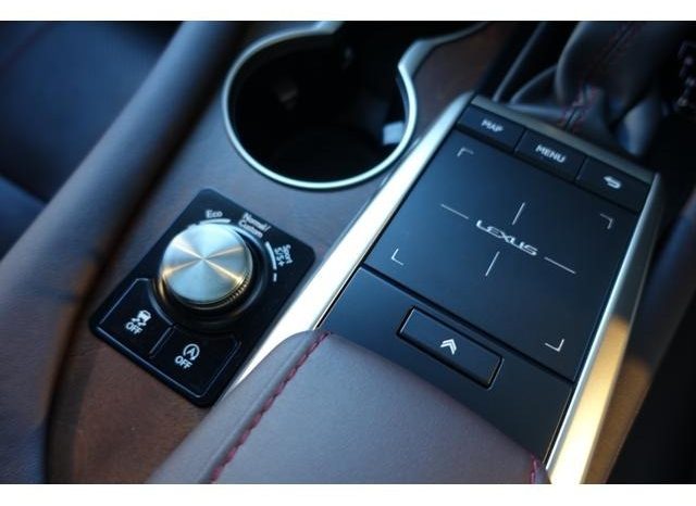 LEXUS RX RX300 VERSION L 2019 full