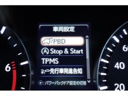 LEXUS RX RX300 VERSION L 2019 full