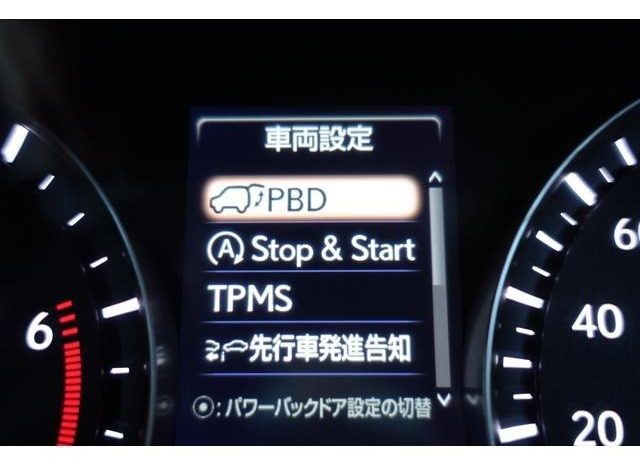 LEXUS RX RX300 VERSION L 2019 full