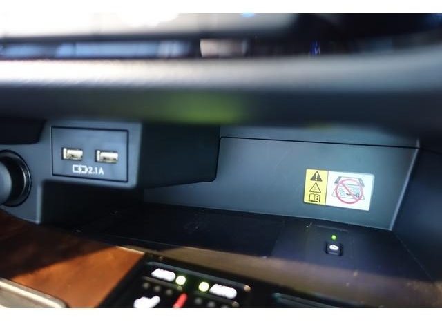 LEXUS RX RX300 VERSION L 2019 full