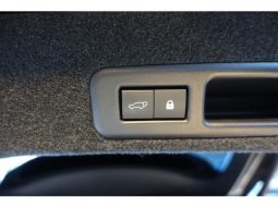 LEXUS RX RX300 VERSION L 2019 full