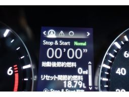 LEXUS RX RX300 VERSION L 2019 full