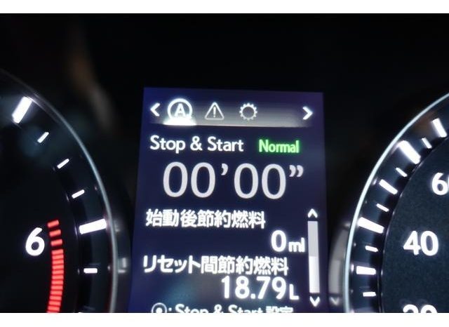 LEXUS RX RX300 VERSION L 2019 full