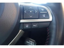 LEXUS RX RX300 VERSION L 2019 full