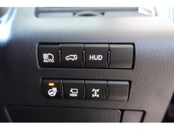 LEXUS RX RX300 VERSION L 2019 full