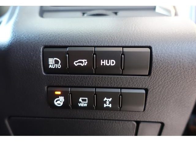 LEXUS RX RX300 VERSION L 2019 full