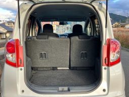 TOYOTA RACTIS G S PACKAGE 2010 full