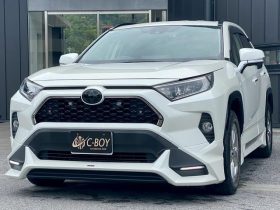 TOYOTA RAV4 G 2019