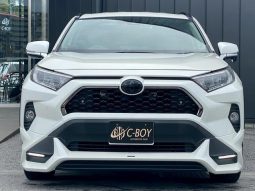 TOYOTA RAV4 G 2019 full