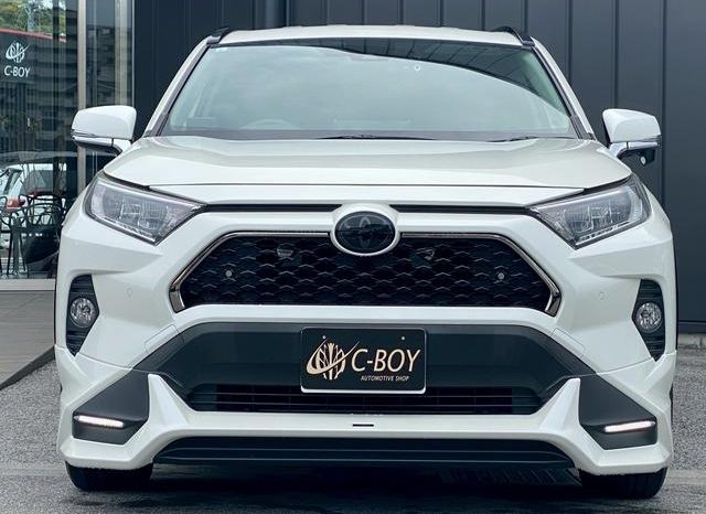 TOYOTA RAV4 G 2019 full