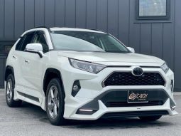 TOYOTA RAV4 G 2019 full
