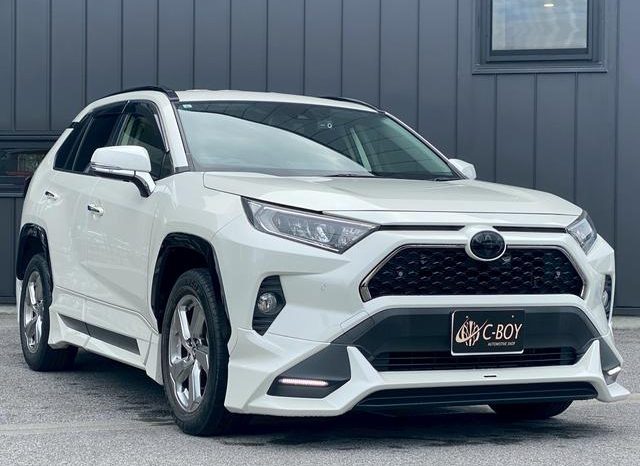 TOYOTA RAV4 G 2019 full