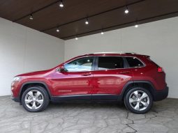 CHRYSLER JEEP JEEP CHEROKEE LIMITED 2019 full