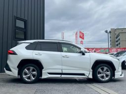 TOYOTA RAV4 G 2019 full